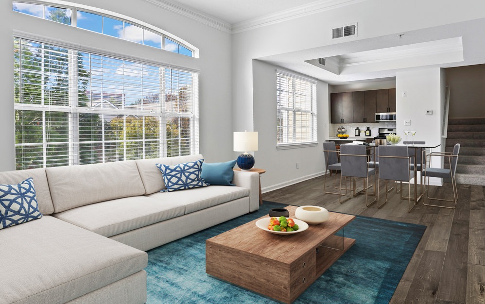 Open space living area with natural lighting